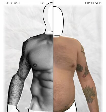 Torso Comparison