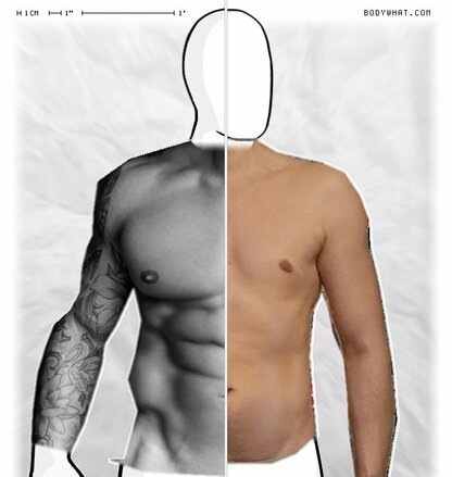 Torso Comparison