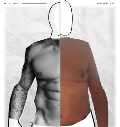 Torso Comparison