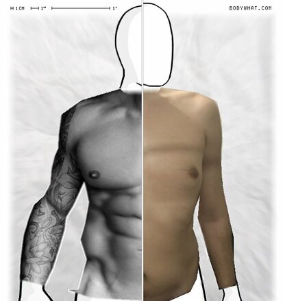 Torso Comparison