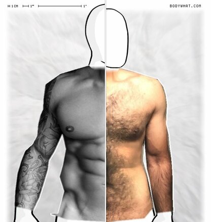 Torso Comparison