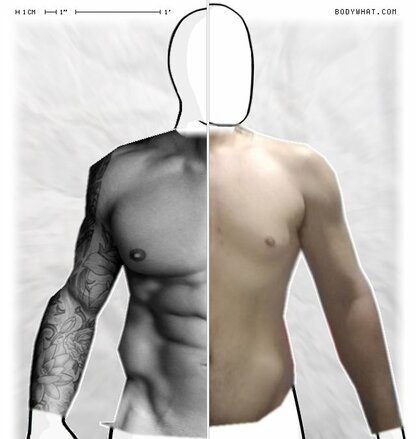 Torso Comparison