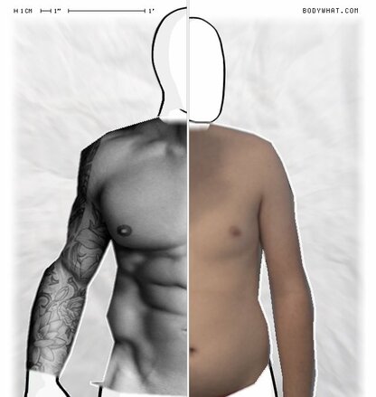 Torso Comparison