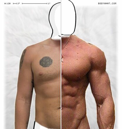 Torso Comparison