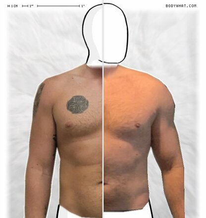 Torso Comparison