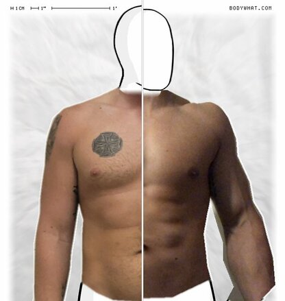 Torso Comparison