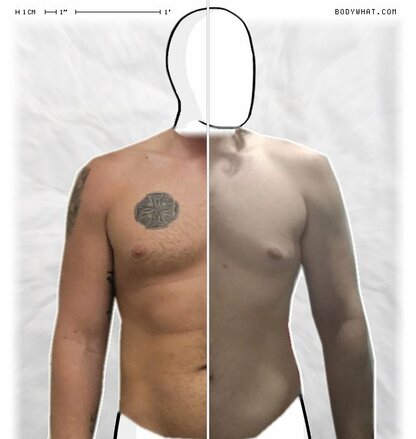 Torso Comparison