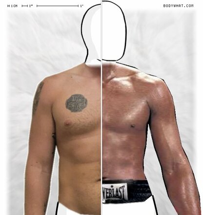 Torso Comparison