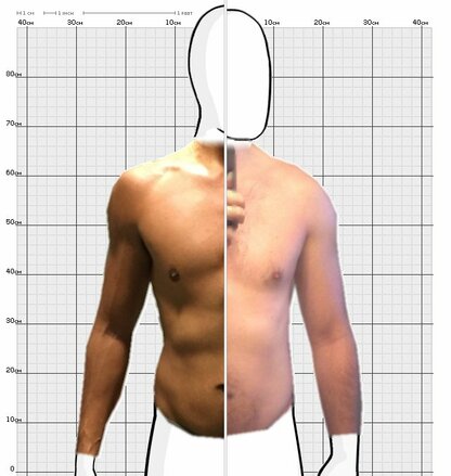 Torso Comparison