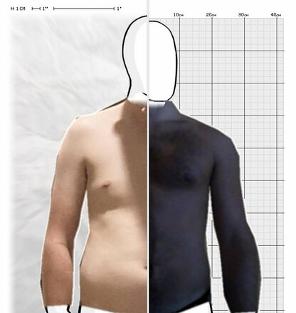 Torso Comparison