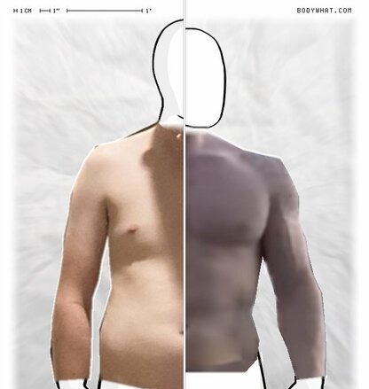 Torso Comparison