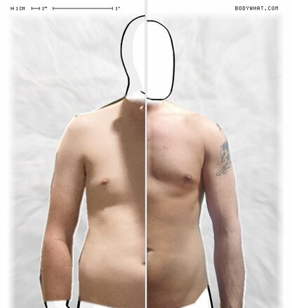 Torso Comparison