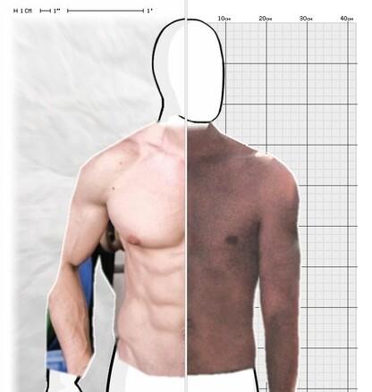 Torso Comparison