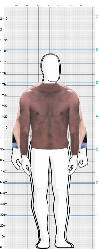 Full Size Comparison