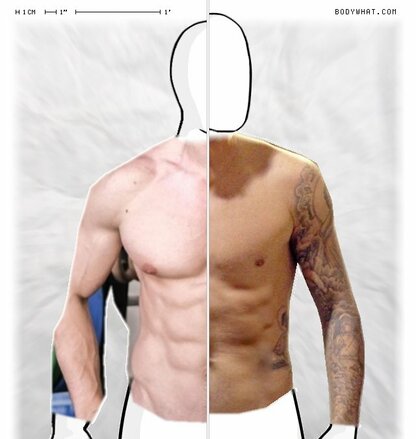 Torso Comparison