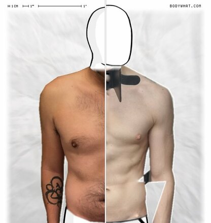 Torso Comparison