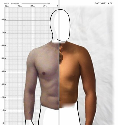 Torso Comparison