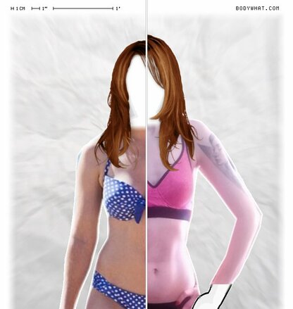 Torso Comparison