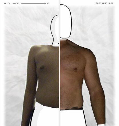 Torso Comparison