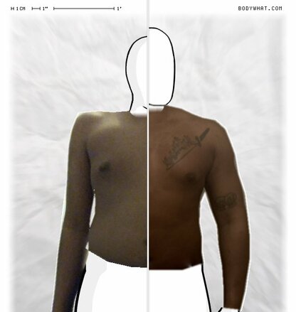Torso Comparison