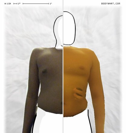 Torso Comparison