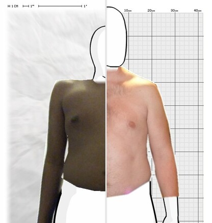 Torso Comparison