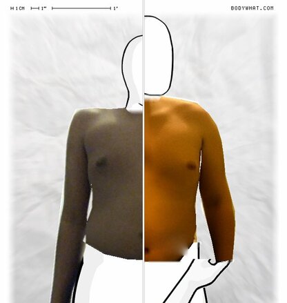 Torso Comparison