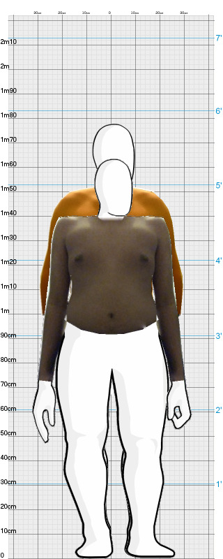 Full Size Comparison