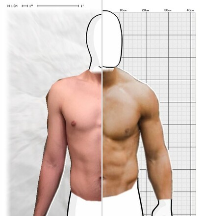 Torso Comparison