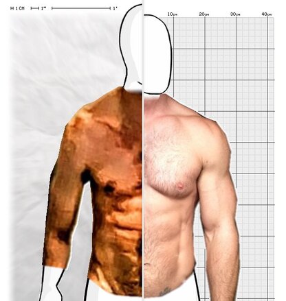 Torso Comparison