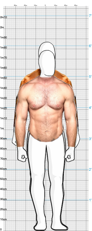 Full Size Comparison