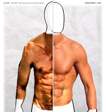 Torso Comparison