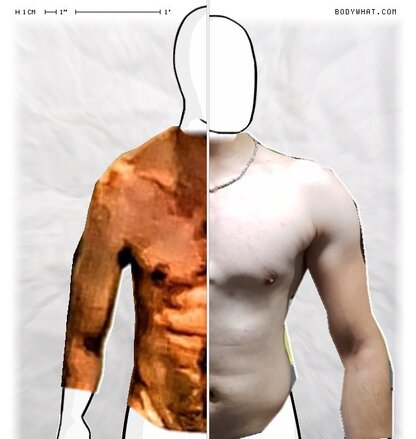 Torso Comparison