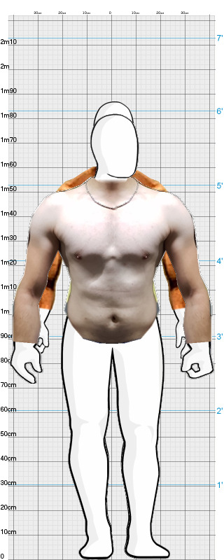 Full Size Comparison