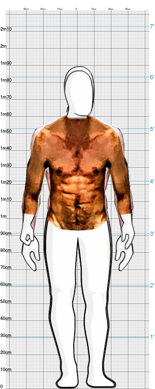 Full Size Comparison