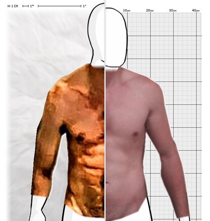 Torso Comparison