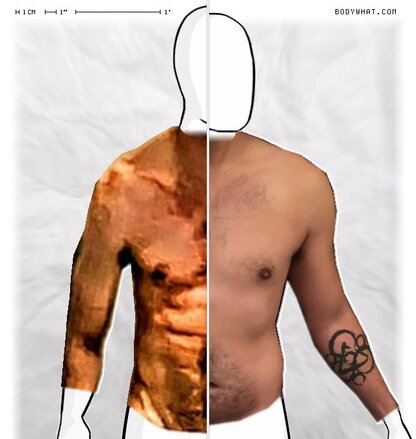 Torso Comparison