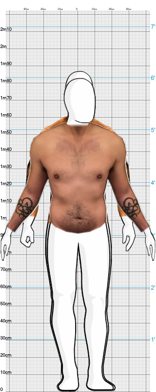 Full Size Comparison