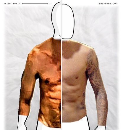 Torso Comparison