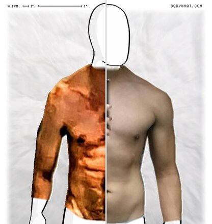 Torso Comparison