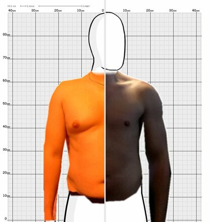 Torso Comparison