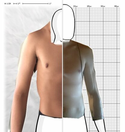 Torso Comparison