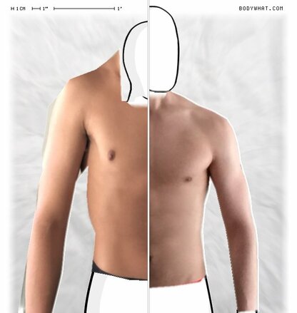 Torso Comparison