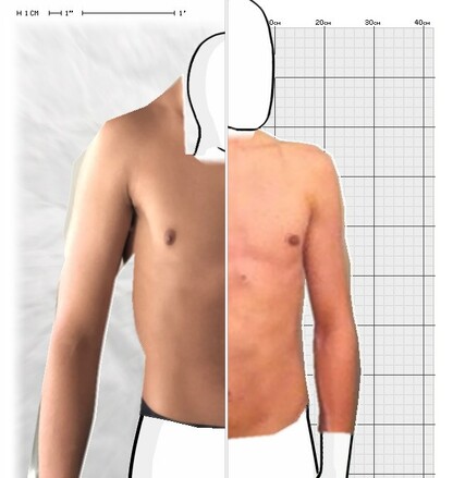 Torso Comparison