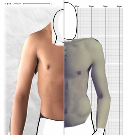 Torso Comparison