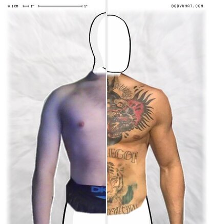 Torso Comparison