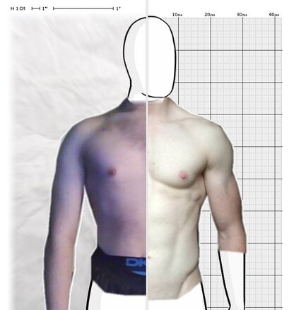 Torso Comparison