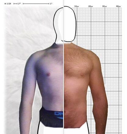 Torso Comparison