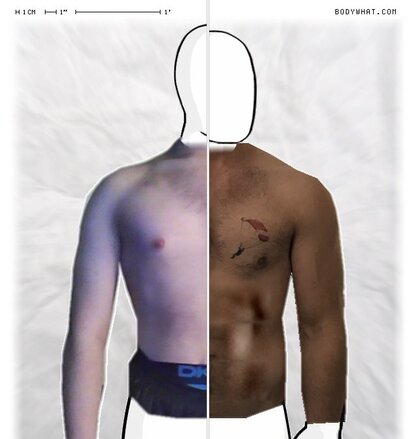 Torso Comparison