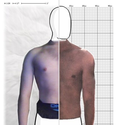 Torso Comparison
